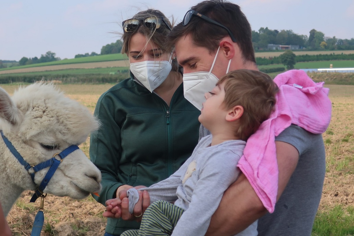 IMG 3549